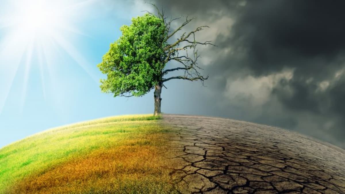 Vietnamese State President to Participate in Leaders Summit on Climate This Week