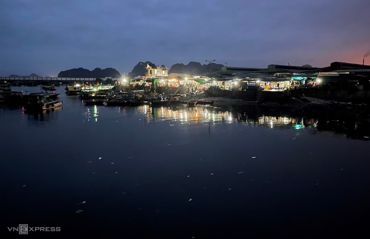 When the clock strikes one, a fish market wakes up