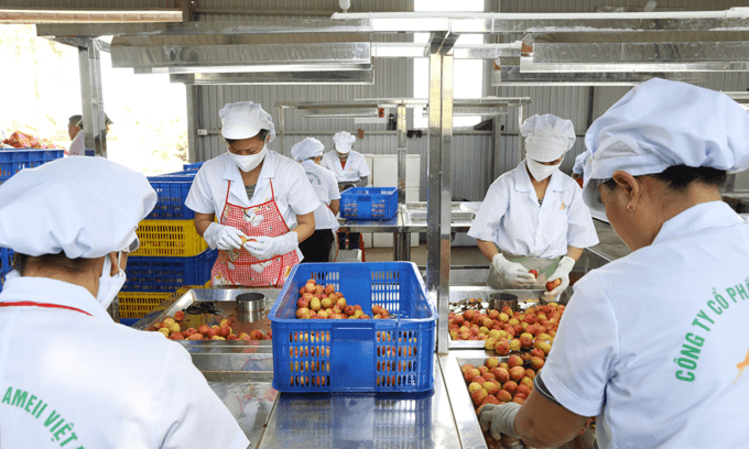 Doors open wider for Vietnam exports to the US