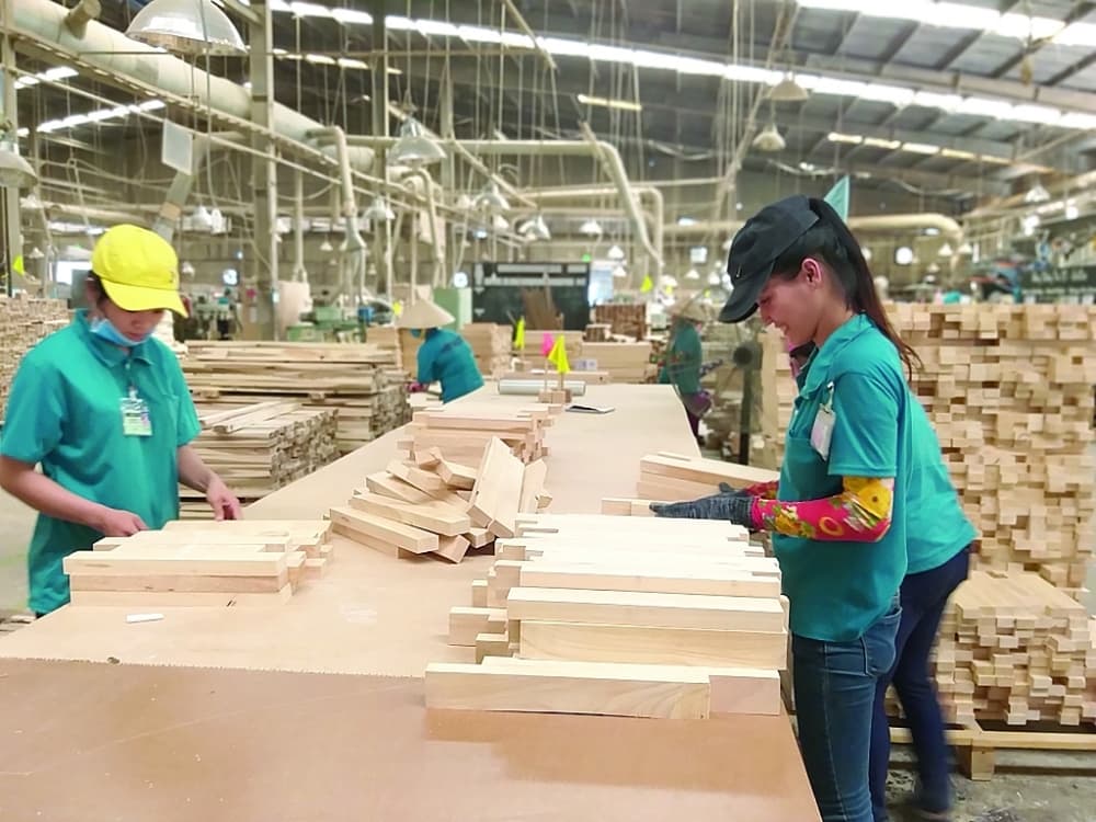 No good control over legality of imported wood