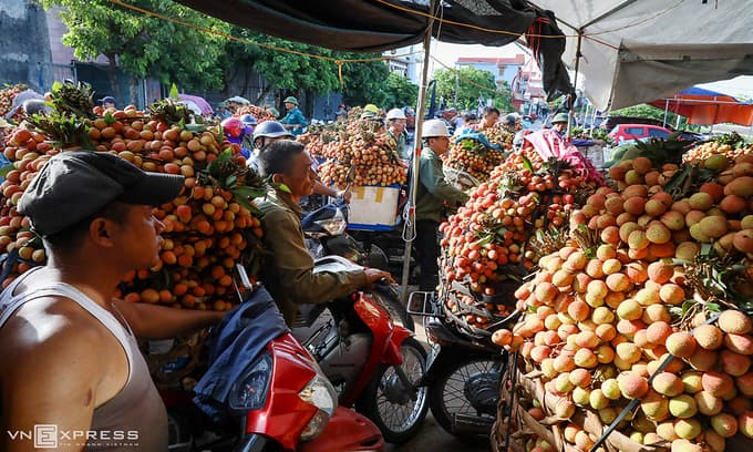 Vietnamese lychee to be sold online for first time