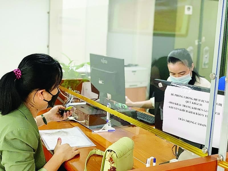 Discipline tax management of business households