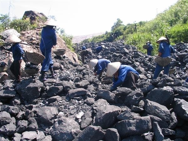 Suspicious mineral exports investigated
