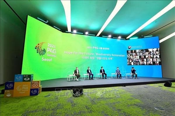Việt Nam pledges responsible contributions to climate change response