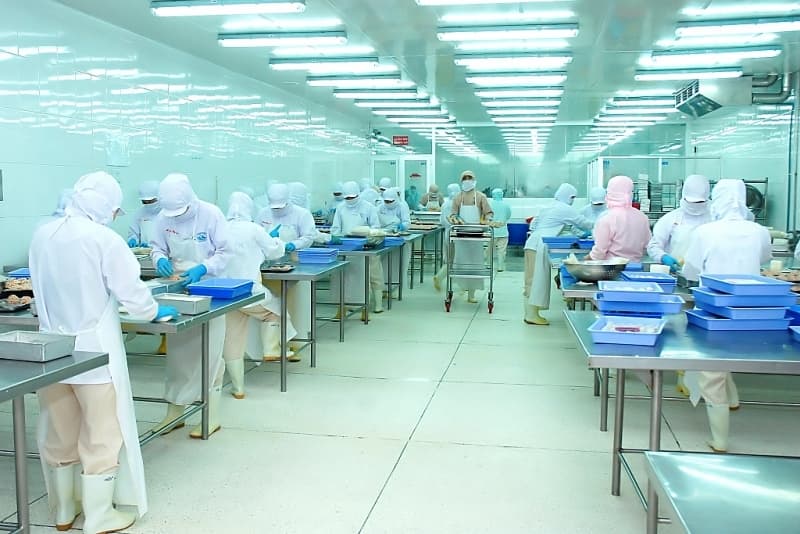 Why are pangasius exports to the EU still struggling?