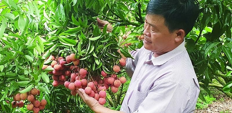 Fruit and vegetable exports increase rapidly