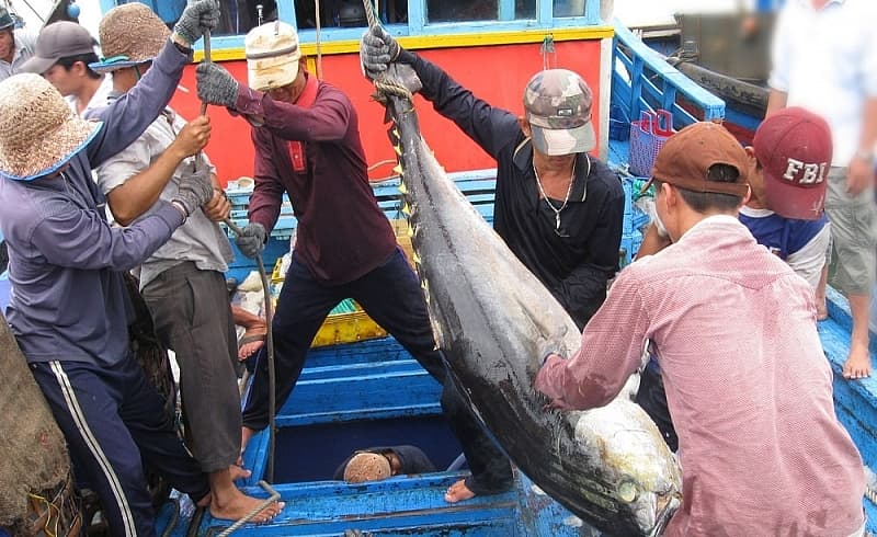 Clear out” the violating fishing vessel in October 2022 to soon get the IUU “yellow card” removed