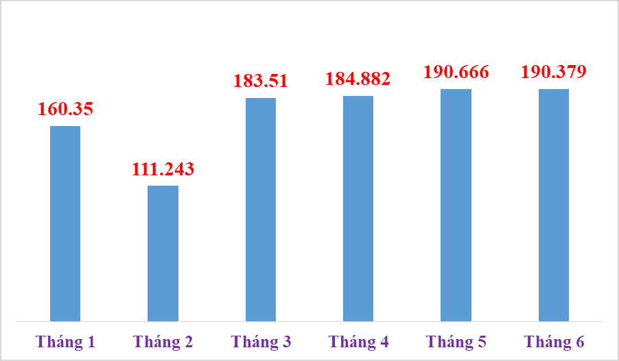 Over 1 million declarations of imported and exported goods processed by Hai Phong Customs