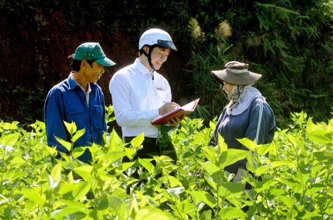 Agribank: Solid Support of Vietnam Agriculture