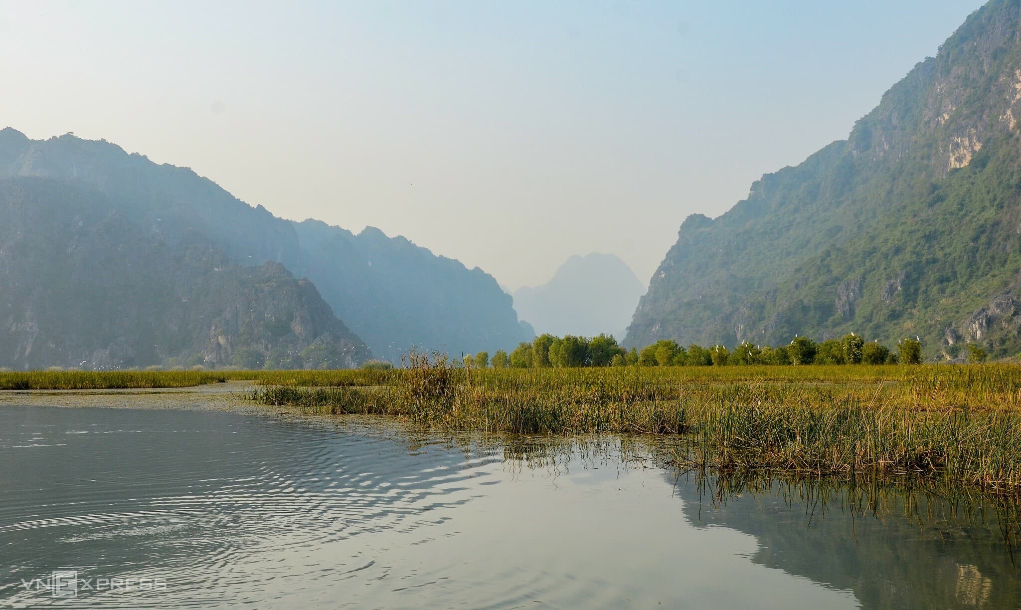 Stalk rare birds inside Van Long nature reserve