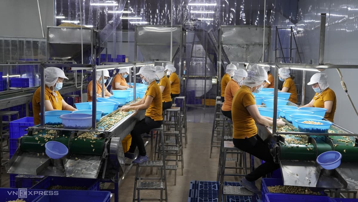 Workers adapt as Long An factory becomes their home
