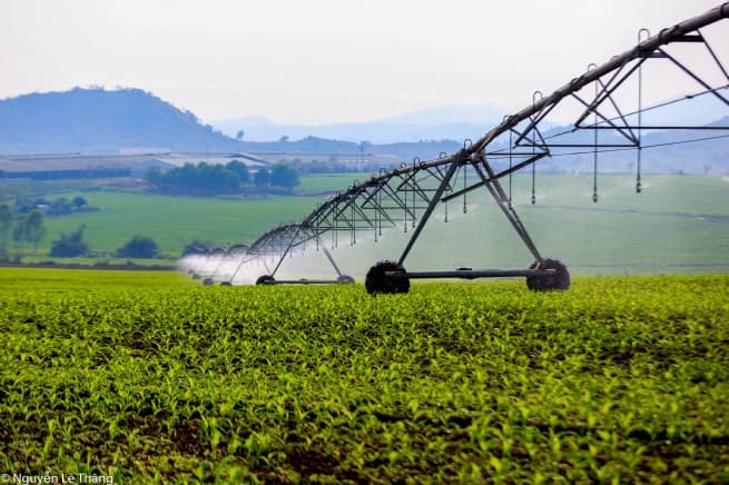 Resolute to Successfully Create High-Quality Agricultural Brands