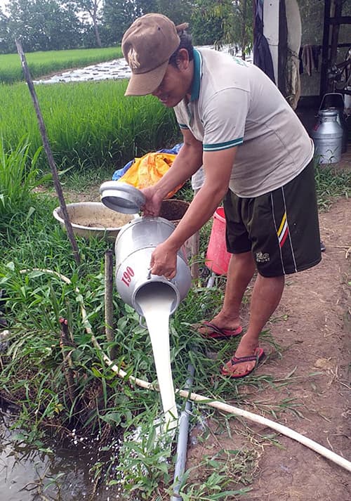 Farmers ‘cry’ over spilled milk in southern Vietnam