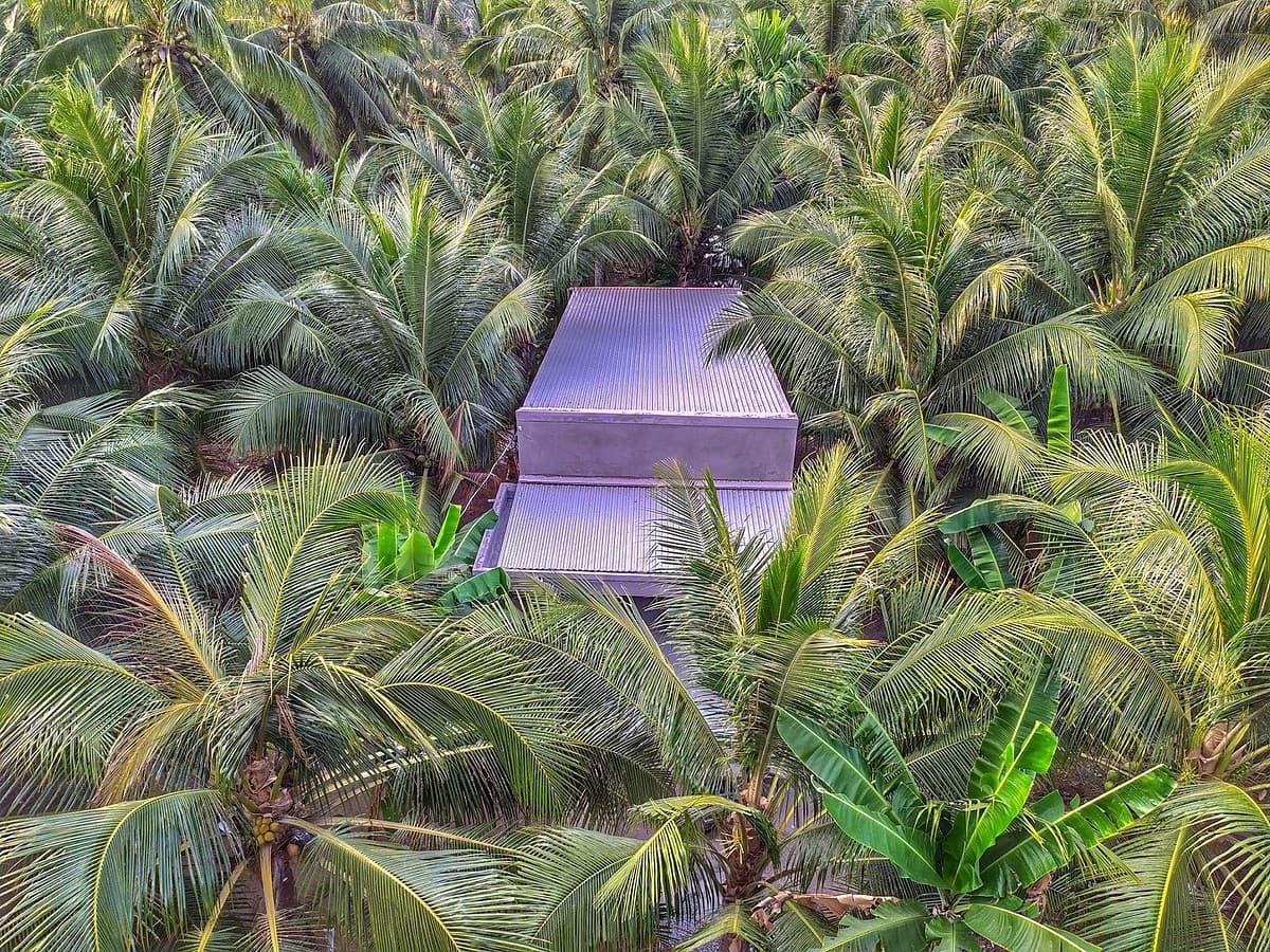 A glimpse into Vietnam's coconut kingdom