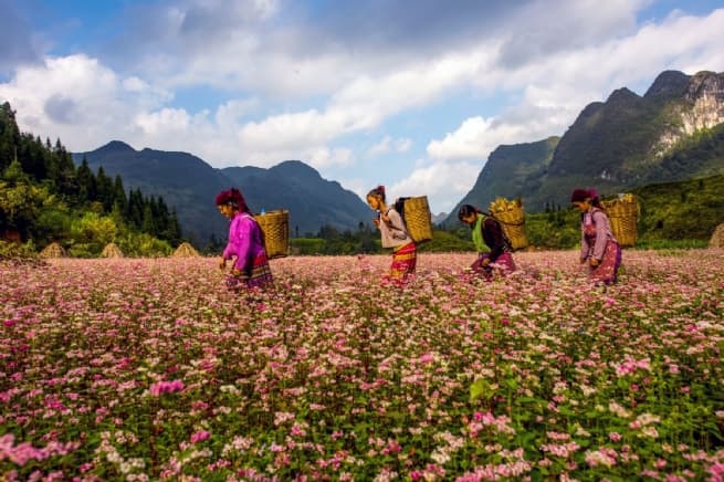Diversifying Amusing Tourism Products