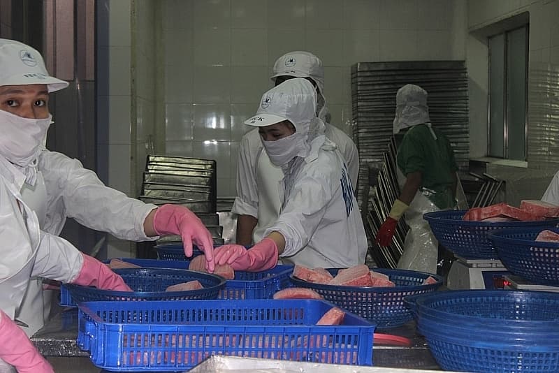 Businesses complain of difficulties, Veterinary agencies carry out online quarantine