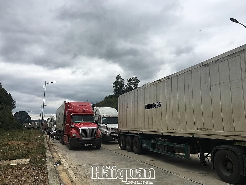 Lang Son: Businesses need to regularly update information to proactively bring goods to border gate