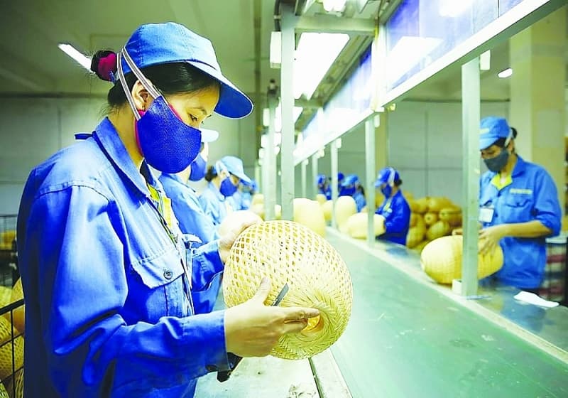 Recommendations for specific, long-term support for small and micro enterprises