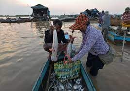 Viet Nam aims for top five global aquaculture producers over next decade