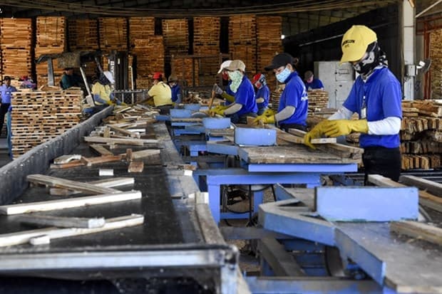 COVID-19 production suspension hampering timber exports