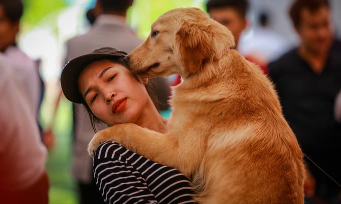 Stay away from pets, Covid-19 patients warned