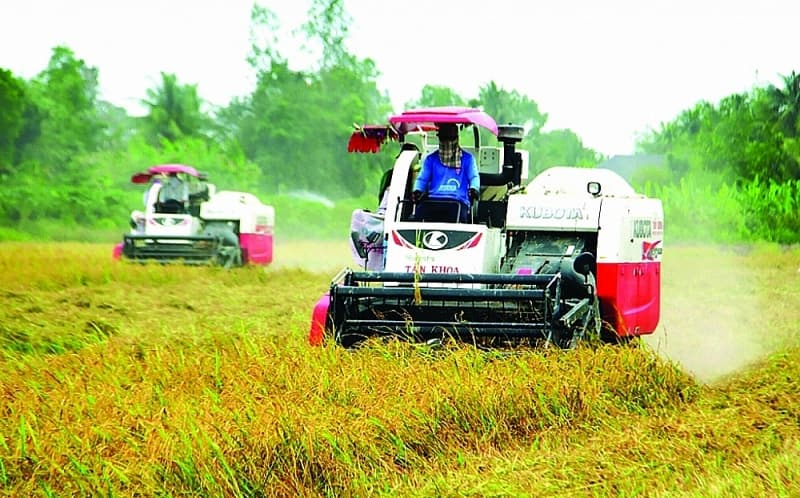 Avoiding breaking the chain of agricultural production, processing and consumption