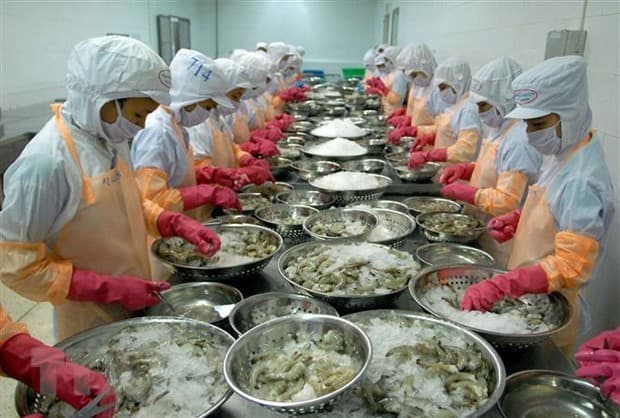 Businesses advised to find potential partners to increase exports to UK