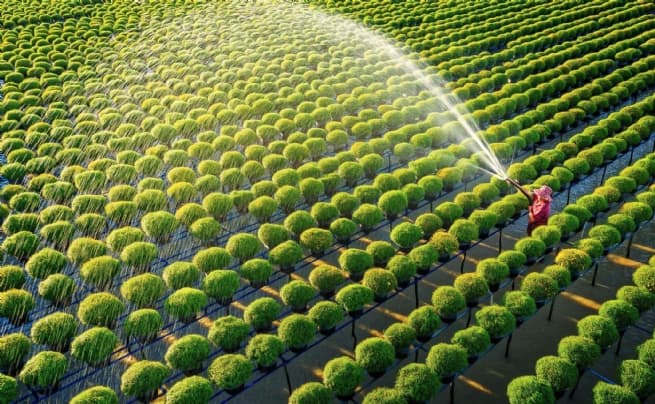 Sustainable Solutions for Agricultural Market