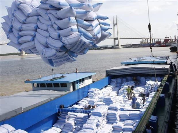 Vietnam holds upbeat growth potential despite COVID-19: VEIL