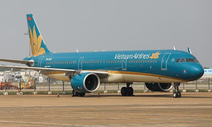 Resume domestic flights, aviation authority urges