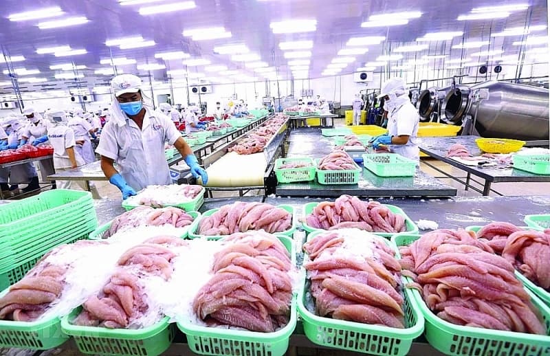 Production is tough to recover, seafood exports are being interrupted