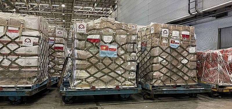 HCM City Customs makes suggestion to remove obstacles for imported medical equipment