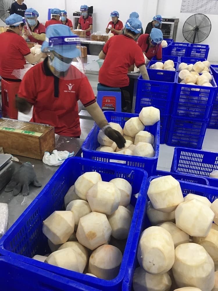 Restoring production, connecting circulation to save farmers and businesses