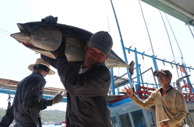 Vietnam becomes largest tuna exporter of Israel