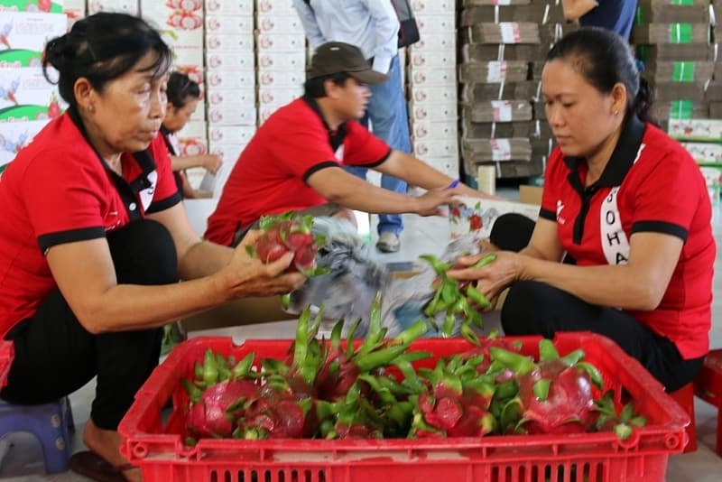 Facing with five difficulties, the agricultural sector wants to socialise testing Covid-19 and vaccination