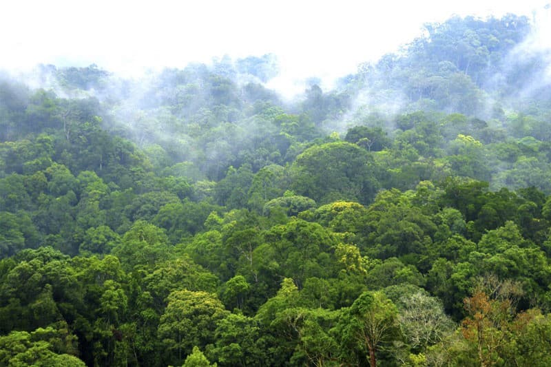 Inside newly-recognized world biosphere reserve in Central Highlands