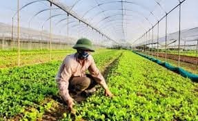 Truong Yen: Residents Contribute VND24 Bln for New Rural Development