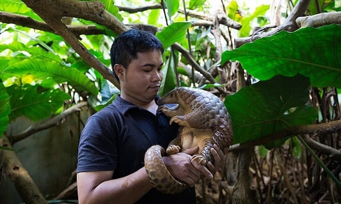 Wildlife traffickers creeping back as pandemic restrictions ease: UN report