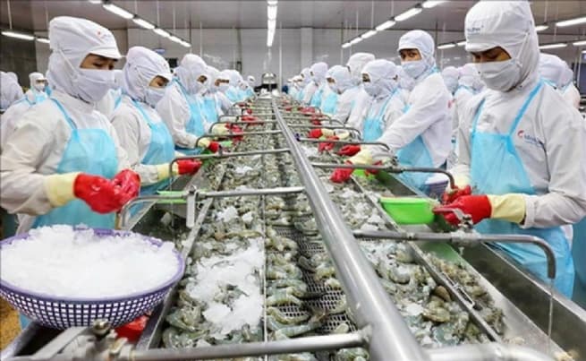 Clear Risks of Seafood Production and Export Chain Disruptions
