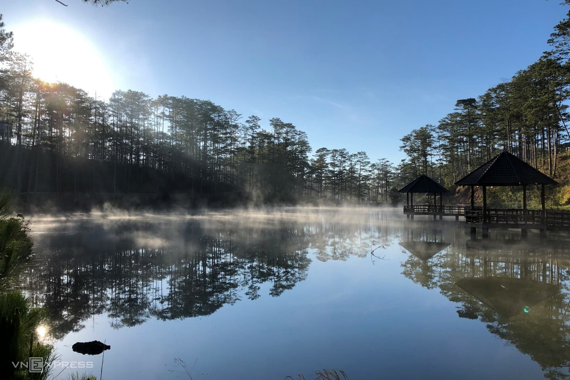 A wildlife kingdom in the Central Highlands