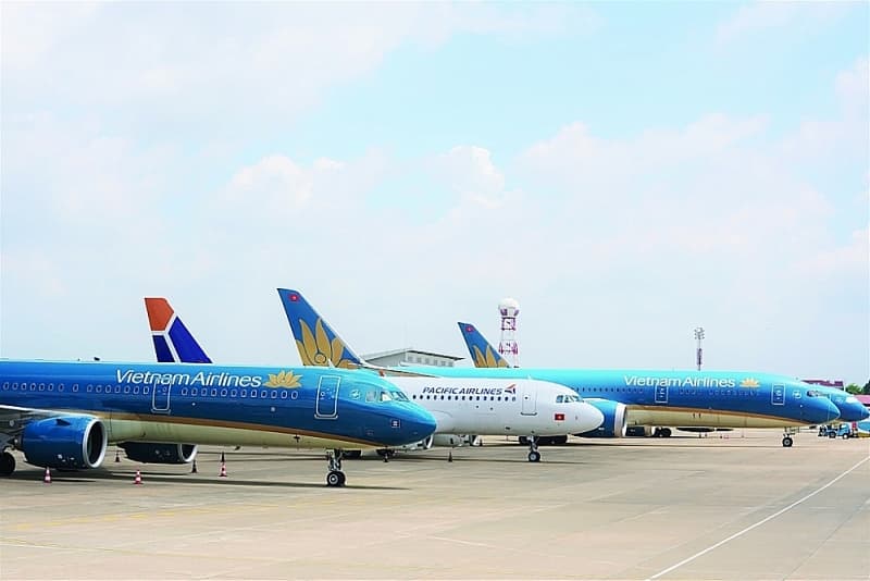 Aviation sector plans to reopen domestic routes