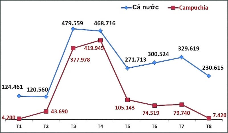Revealing many violations links to import cashew nuts
