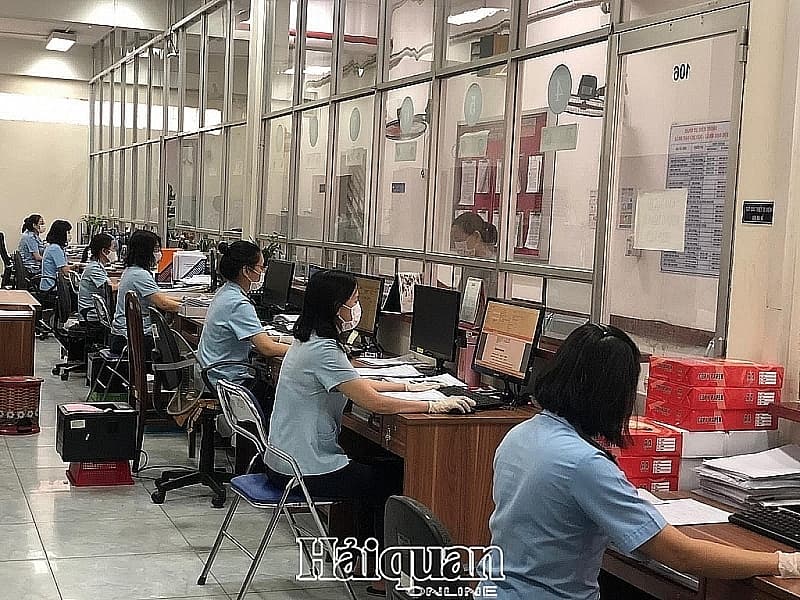 Foreign firms propose support for customs procedures