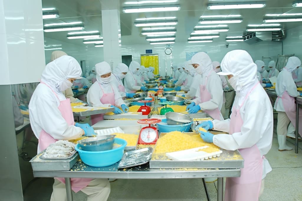 What solution helps to restore processing and exporting agricultural products in the south?