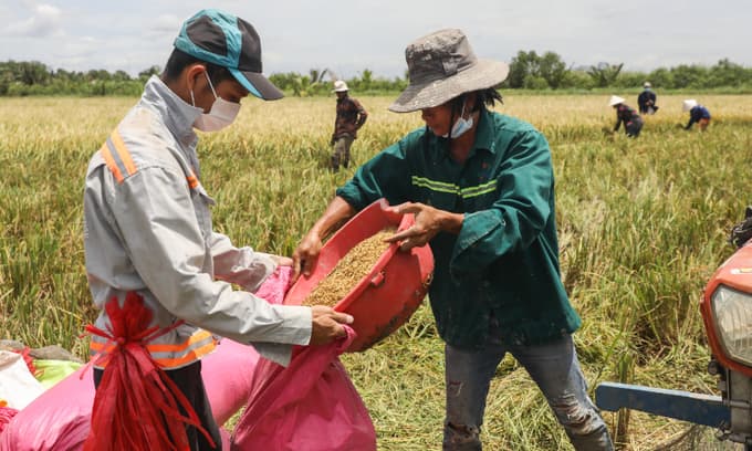 World Bank says Delta variant slowing economic growth in East Asia and Pacific