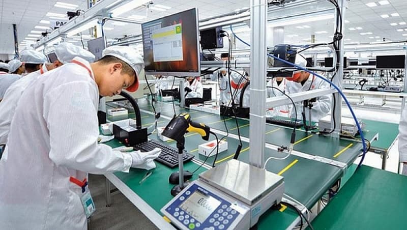 Processing and manufacturing led the total FDI in nine months