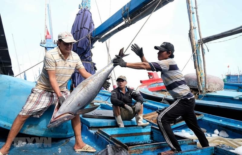Stopping violating fishing vessels this year to remove the "yellow card"