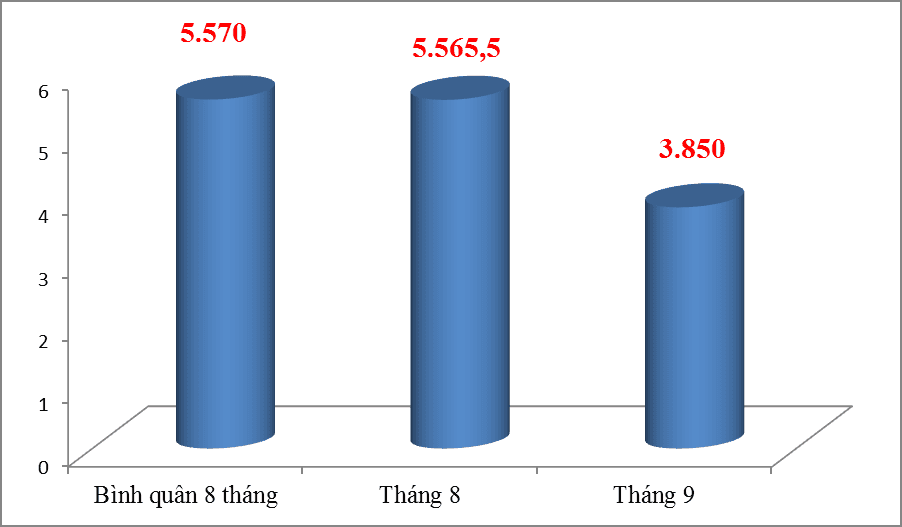 Revenue collection at Hai Phong Customs tends to decrease sharply