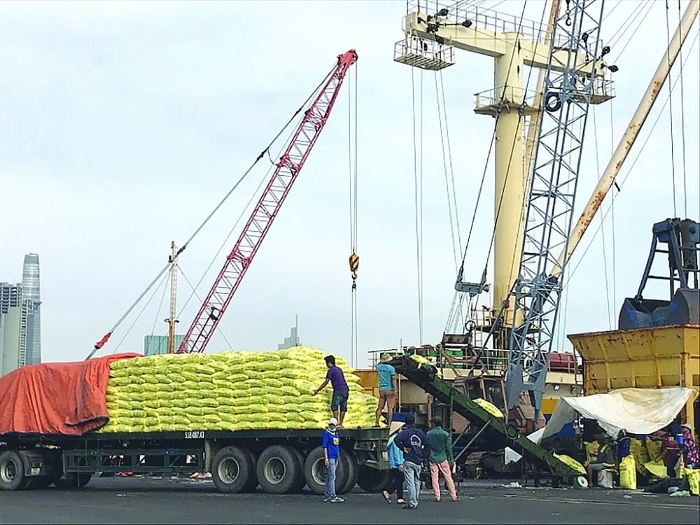 Ho Chi Minh City: Difficult to keep the growth momentum of import and export
