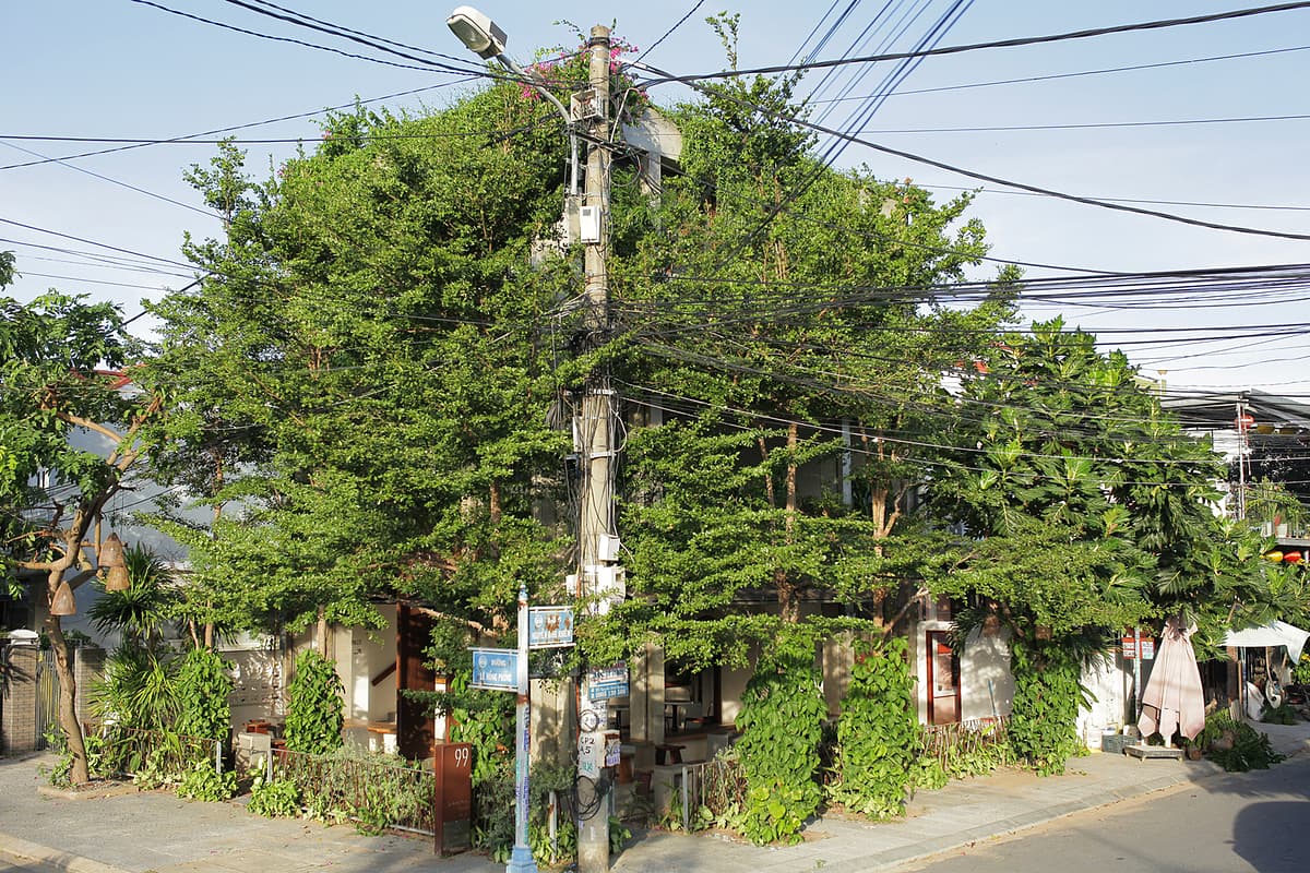 Hoi An coffee shop connects guests with nature